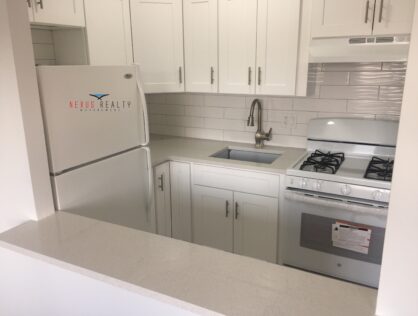 Brand new fully renovated 2 Bedroom apartment in LIC only $2400