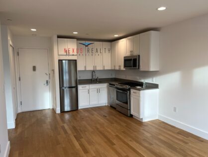 Brand New 1 Bedroom Apartment in Astoria $2950