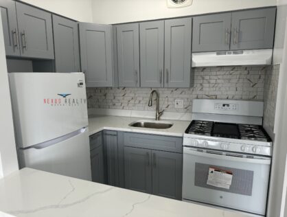 Gut Remodeled 2 Bedroom apartment in LIC ONLY $2900